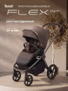 Коляска прогулочная Rant Flex Color RA118 Shine Brown