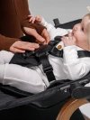 Стул для кормления Amarobaby Winnie 3 в 1 молочный