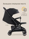 Коляска прогулочная Happy Baby Aira black