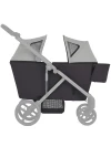 Коляска-вагончик для двойни Anex Wagon Modu (MD-WS-02) Haze