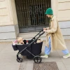 Коляска-вагончик для двойни Anex Wagon Modu (MD-WS-02) Haze