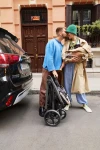 Коляска-вагончик для двойни Anex Wagon Modu (MD-WS-01) Shea