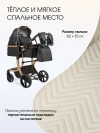 Коляска-трансформер Farfello Aimile Adventurer PU ADV-16 Gold black