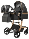 Коляска-трансформер Farfello Aimile Adventurer PU ADV-16 Gold black
