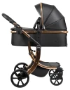 Коляска-трансформер Farfello Aimile Adventurer PU ADV-16 Gold black