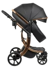 Коляска-трансформер Farfello Aimile Adventurer PU ADV-16 Gold black
