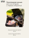 Коляска-трансформер iZZi 2 в 1 Olive/ Black