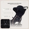 Коляска прогулочная Rant Avion RA406 Black