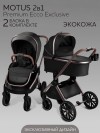 Коляска 2 в 1 Amarobaby Motus Premium Ecco Exclusive Экокожа черный