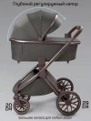 Коляска 2 в 1 Amarobaby Motus Premium Ecco Exclusive Экокожа серый