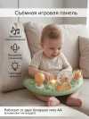 Ходунки Pituso Мельница чудес Green