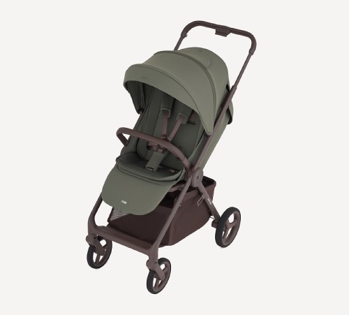 Коляска прогулочная Anex Ride (RD-03) Freshy